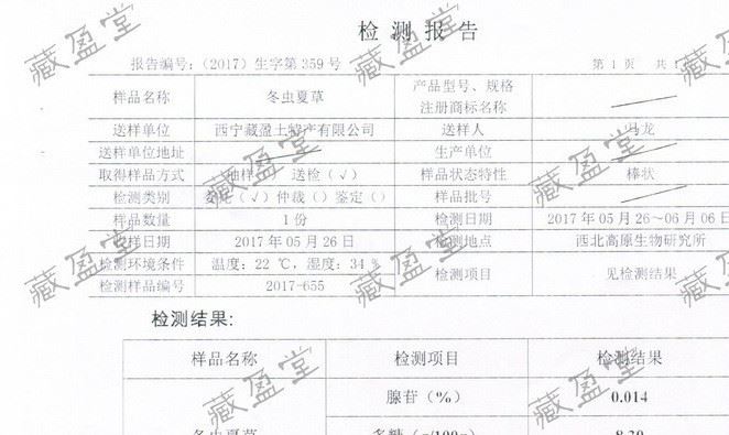 鲜草上市 2018藏盈堂青海玉树新鲜冬虫夏草野生1g/1根示例图21