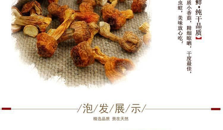 東北長白山特產(chǎn)特級姬松茸 巴西菇原生態(tài)菇 農(nóng)家產(chǎn)地直銷批發(fā)示例圖20