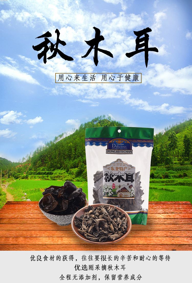 批發(fā)  長白山  野生木耳  單片小碗秋木耳  東北特產(chǎn)  秋木耳示例圖1