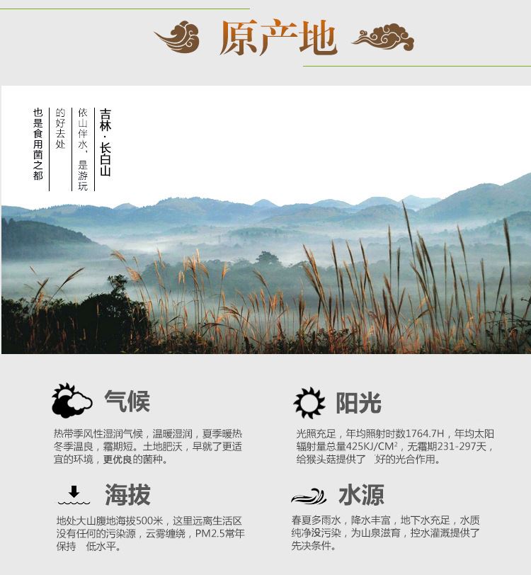 批發(fā)  長白山  野生木耳  單片小碗秋木耳  東北特產(chǎn)  秋木耳示例圖3