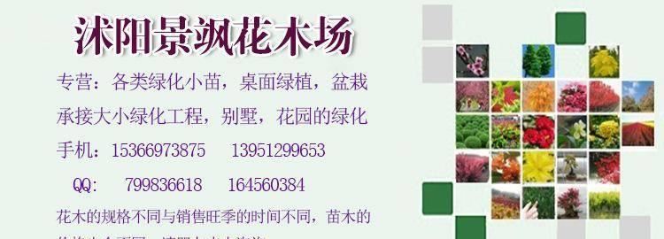 批發(fā) 透明塑料布塑料薄膜地膜中膜加厚膜無滴大棚塑料膜規(guī)格示例圖4