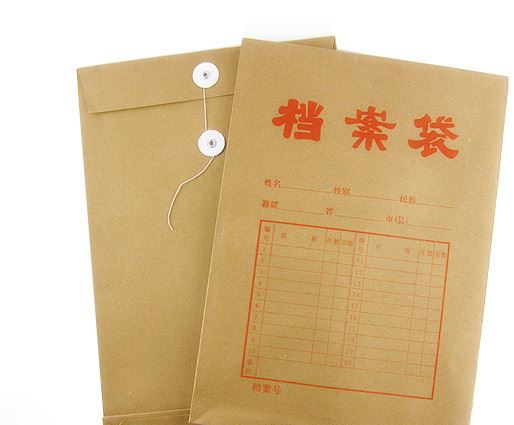 文件袋 檔案袋 牛皮紙檔案袋 藝術(shù)紙文件袋 通用檔案袋示例圖6