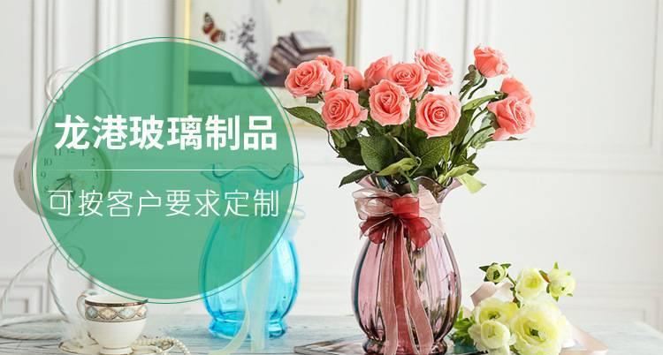 玻璃瓶軟香薰瓶木塞彩色水培插花瓶示例圖1