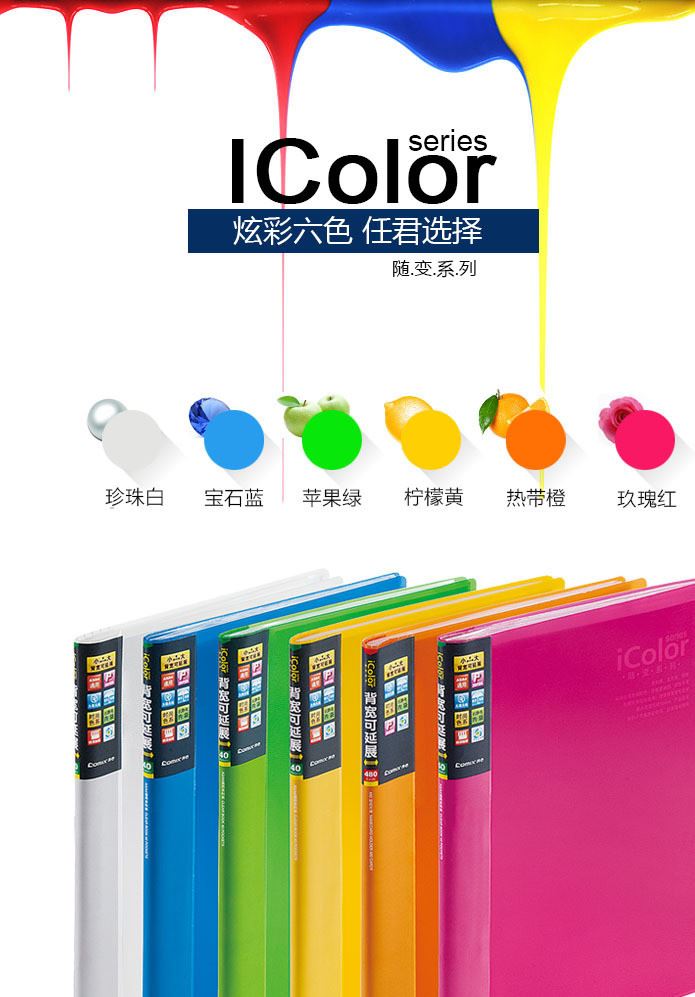 齊心辦公活頁(yè)插頁(yè)文件夾圖紙資料冊(cè)40頁(yè)檔案透明袋多層 A4試卷示例圖3
