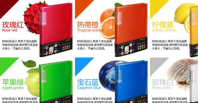 齊心辦公活頁(yè)插頁(yè)文件夾圖紙資料冊(cè)40頁(yè)檔案透明袋多層 A4試卷示例圖9
