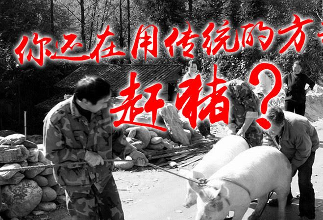 第三代照明款El-spark趕豬神器 充電趕豬器電動趕豬棍豬鞭豬棒示例圖1