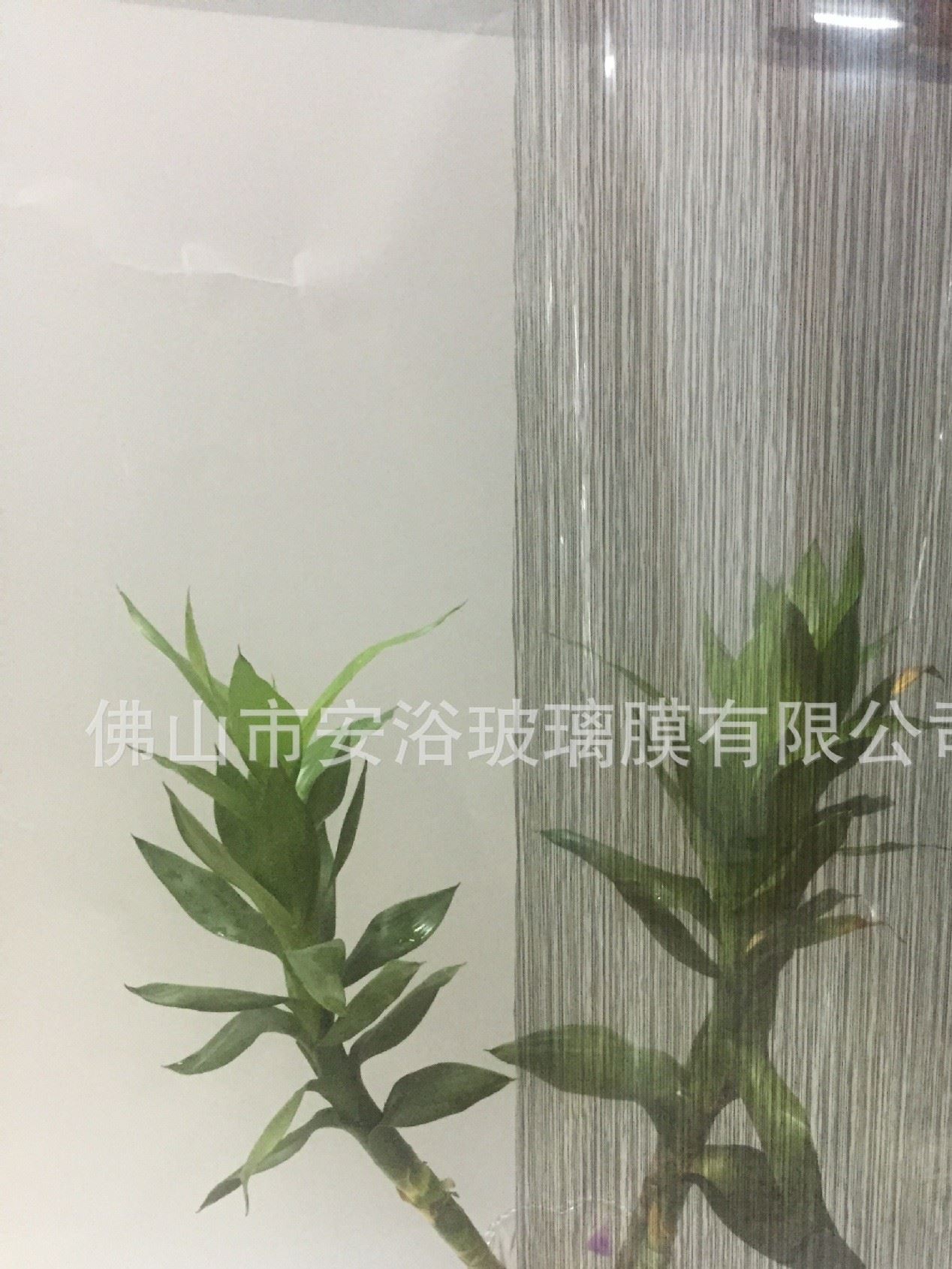 防爆膜，裝飾安全膜,建筑隔熱膜、窗口膜示例圖19