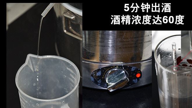 廠家批發 多功能家用釀酒機 家庭釀酒設備 蒸餾提純機 小型純露機示例圖21