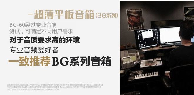 BG60超薄平板音箱背景音樂壁掛式廣播喇叭定壓定阻4歐15W100V示例圖2