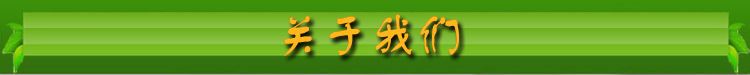 冷凍三黃雞 冰凍整只三黃雞包裝餐廳食堂飯?zhí)脤Ｓ秒u肉 整箱批發(fā)示例圖10