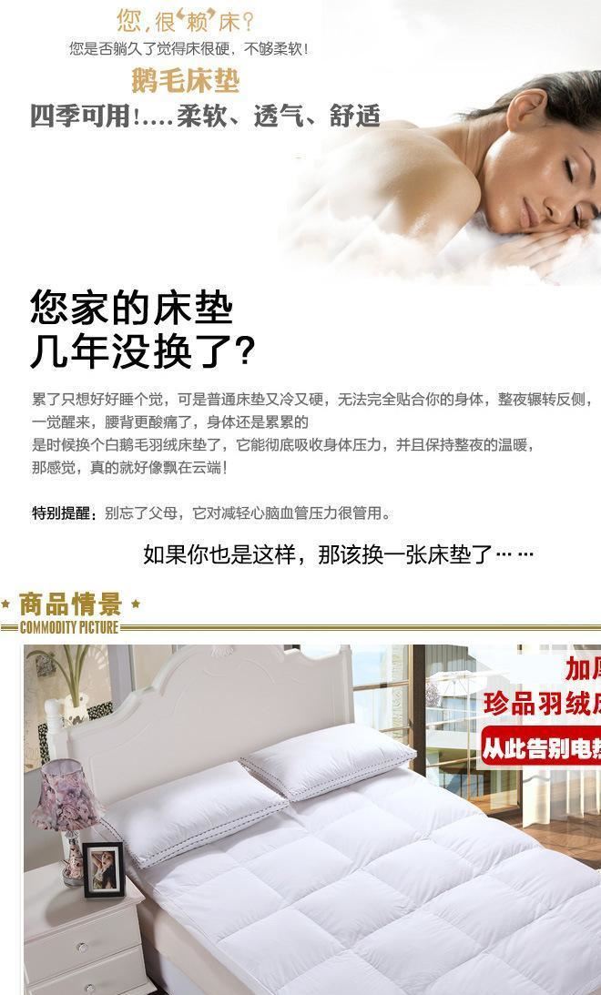 啟陽級酒店賓館加厚保暖鵝絨鴨羽絨床墊 單雙人學生床墊批發示例圖1