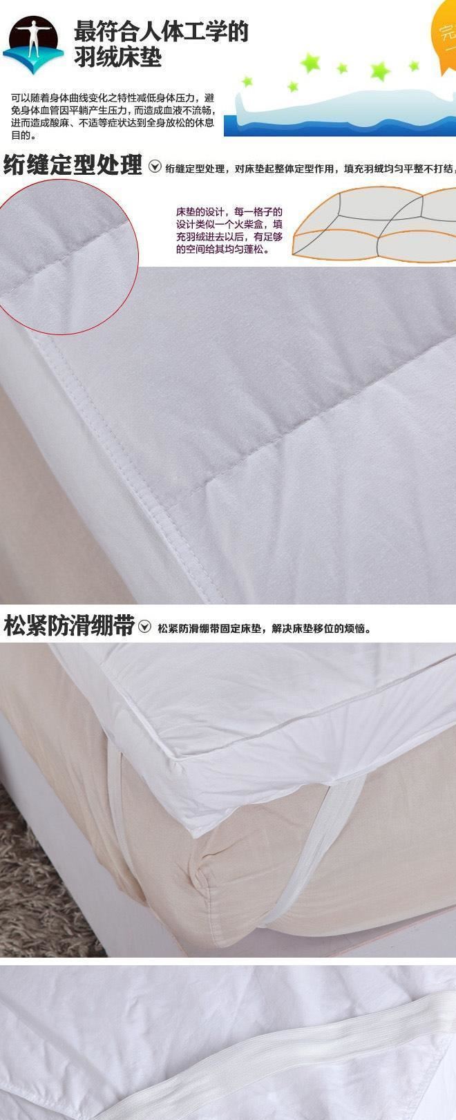 啟陽級酒店賓館加厚保暖鵝絨鴨羽絨床墊 單雙人學生床墊批發示例圖4
