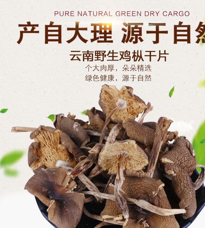 云南特產(chǎn)雞樅 食用菌雞樅菌 300g/箱 原產(chǎn)地直銷雞樅干片示例圖1