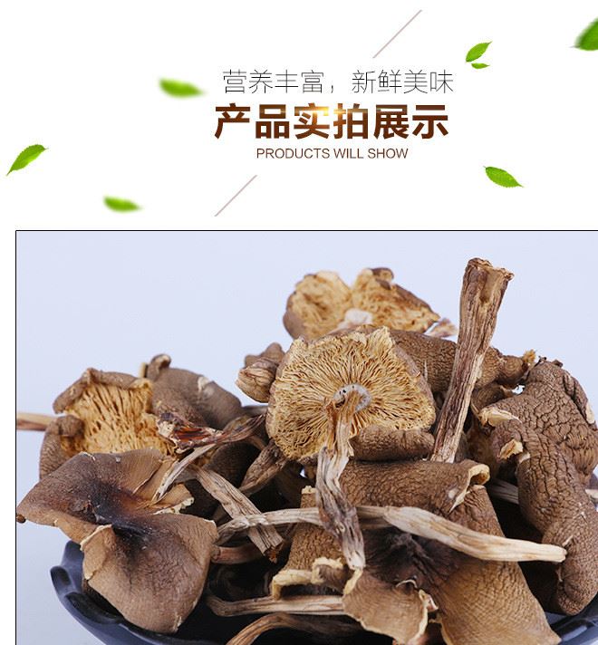 云南特產(chǎn)雞樅 食用菌雞樅菌 300g/箱 原產(chǎn)地直銷雞樅干片示例圖6