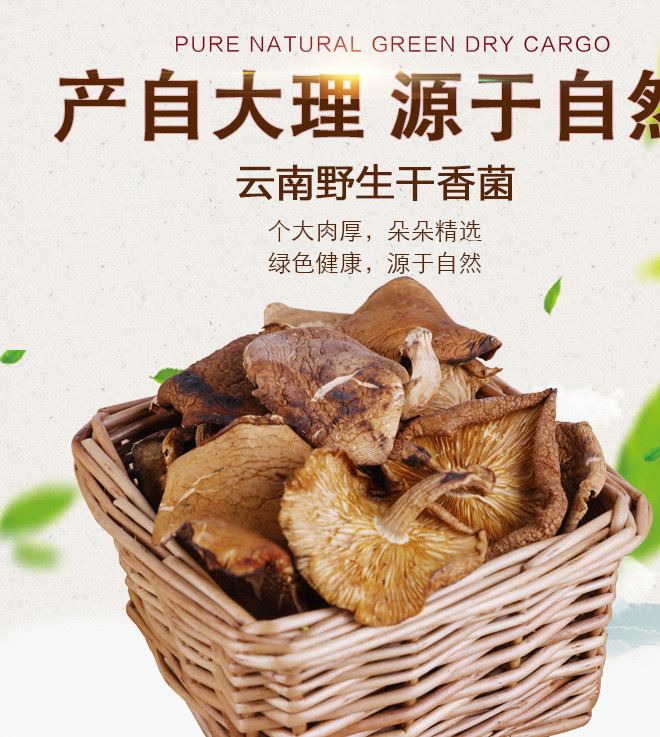 云南特产干香菌 野生干香菌 300g/箱 原产地直销干香菌批发示例图1