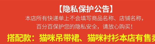 海德娜娜性感貓咪透視網(wǎng)紗情趣內(nèi)褲可愛蘿莉無痕低腰透氣三角褲示例圖1