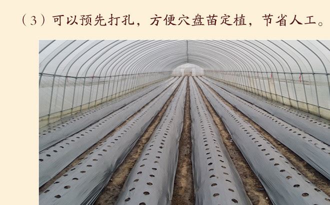 農(nóng)膜 大棚膜 高透光消霧流滴膜 地膜 雙色地膜 反光地膜示例圖5