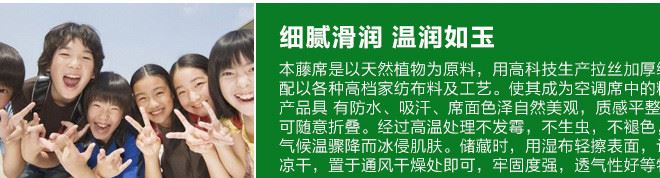 廠家直銷 大學生宿舍涼席寢室席子單人冰絲涼席藤席90厘米/120cm示例圖14