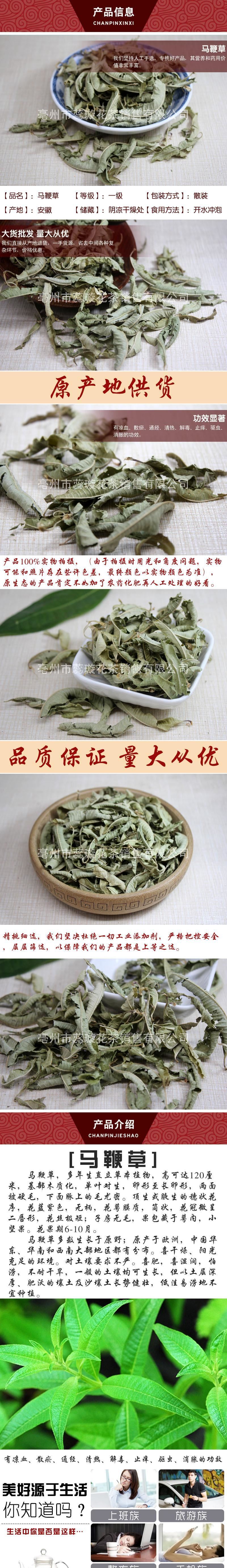 批發(fā)供應(yīng)馬鞭草花茶馬鞭草 易搭配檸檬草【 量大從優(yōu)】示例圖2