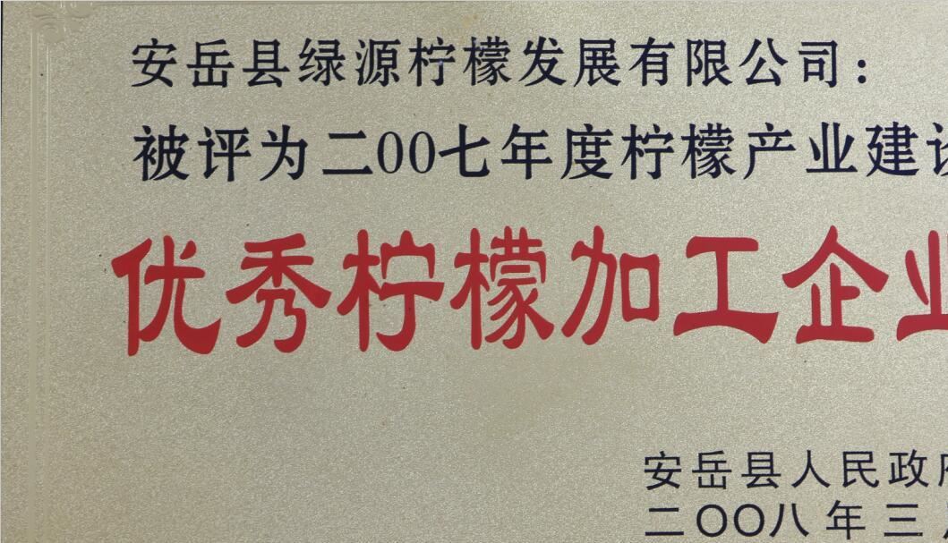 安岳特產(chǎn) 檸檬茶 檸檬綠茶 檸檬紅茶 袋泡茶包60g（24袋）示例圖7