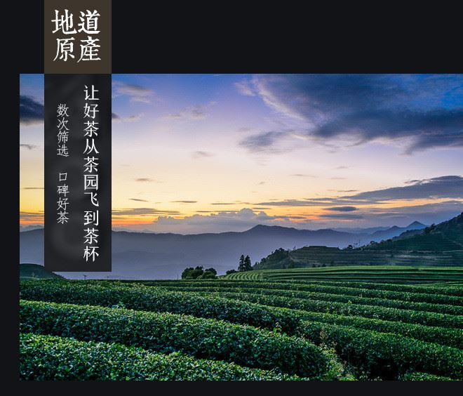 新茶春茶安溪鐵觀音茶葉清香型500g獨立小泡煙條禮盒裝廠家直銷示例圖11