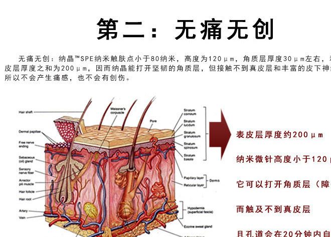 2DL-D 納米微針  納米晶片微針批發(fā) 祛魚尾紋 祛眼袋 眼部護理示例圖15