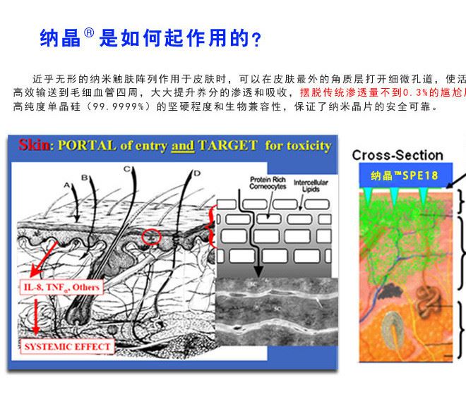 2DL-D 納米微針  納米晶片微針批發(fā) 祛魚尾紋 祛眼袋 眼部護理示例圖18