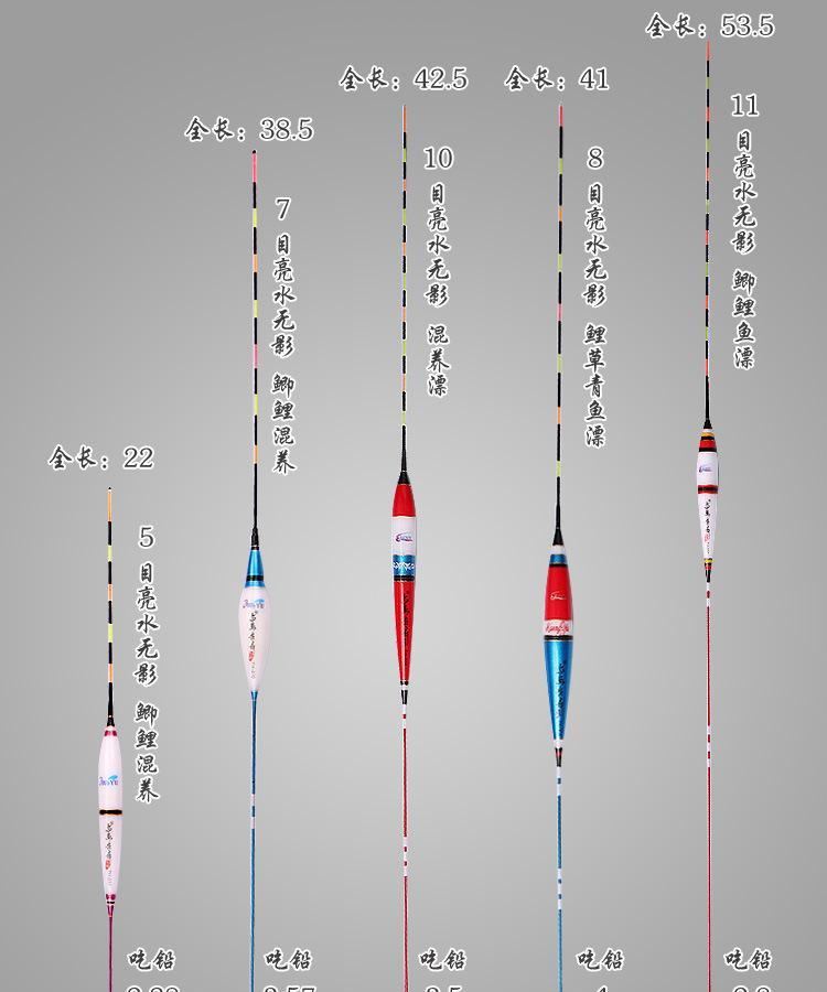 釣具漁具批發(fā)市場電子漂夜光漂納米魚漂細尾浮漂水無影立式漂示例圖1