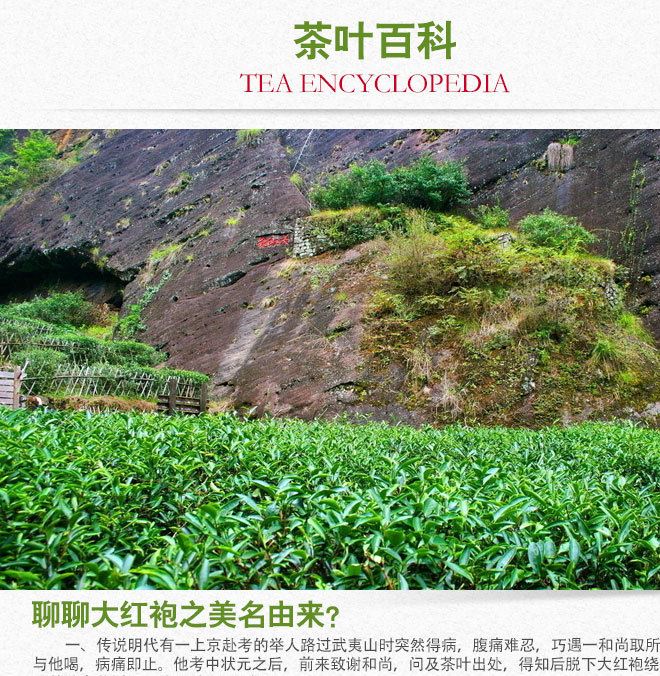 福建武夷清香型大紅袍 特級正巖烏龍茶禮盒裝 2016新茶 一件代發(fā)示例圖5