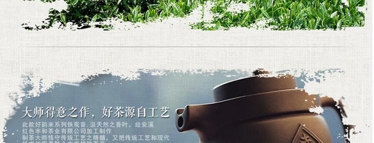 新茶铁观音散装礼盒装高山铁观音茶叶 兰花香乌龙茶茶叶厂家 批发示例图10