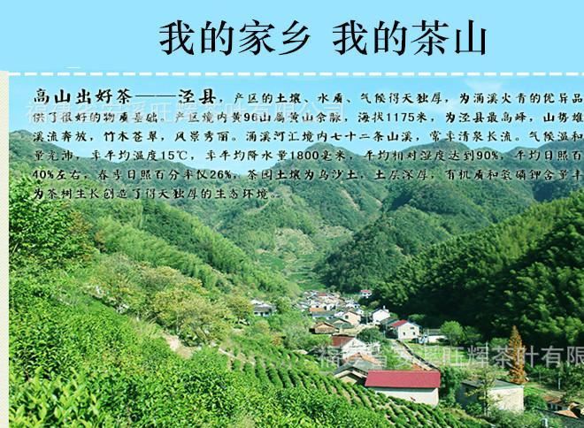 直銷 新品黃山毛峰 雀舌綠茶 原產(chǎn)地手工高山有機綠茶批發(fā)示例圖4