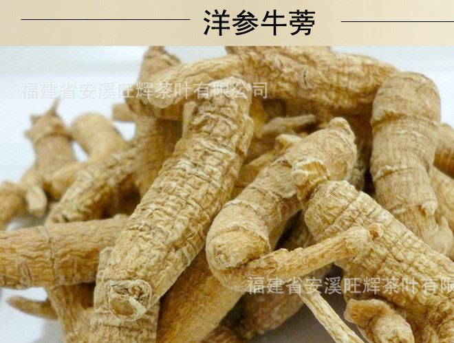 洋參牛蒡茶養(yǎng)生 精美禮盒裝茶葉送禮佳品養(yǎng)生茶一件代發(fā)批發(fā)新茶示例圖7