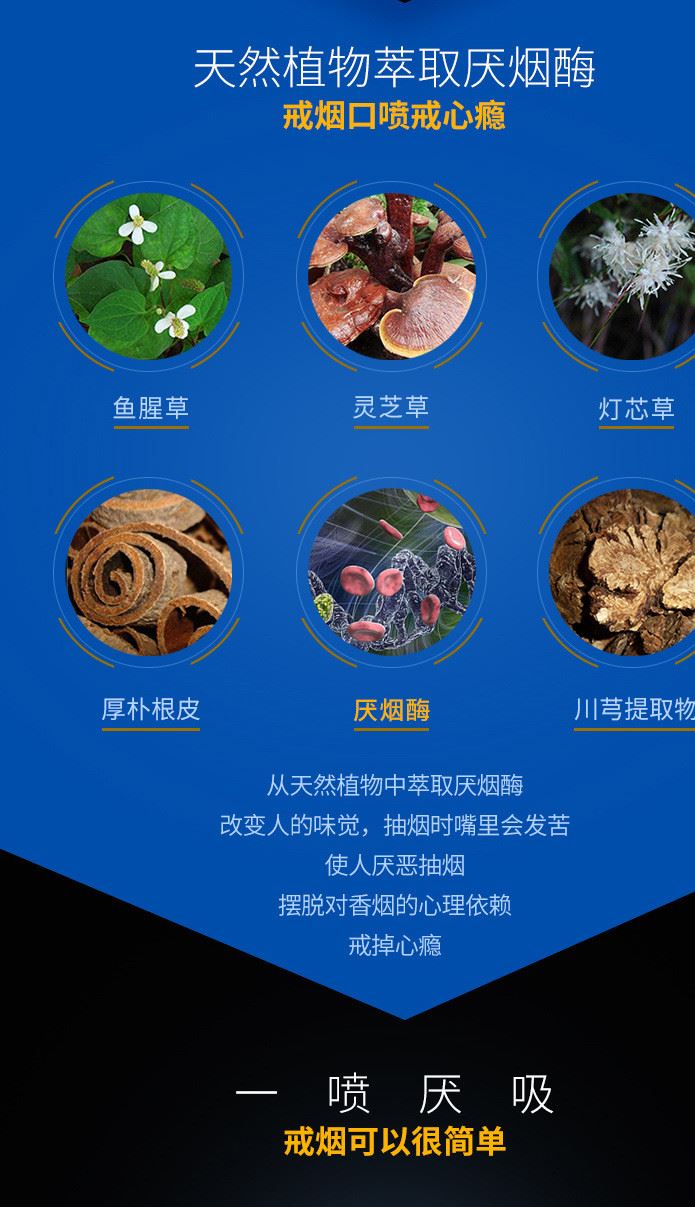 老婆交代清肺戒煙靈 戒煙噴劑 便攜式戒煙輔助神器 噴霧批發(fā)示例圖2