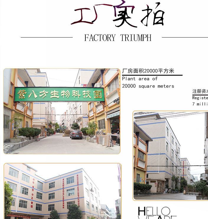 洗發露潤柔垂直順洗發露清爽控油去屑護發保濕補水洗發水廠家批發示例圖7