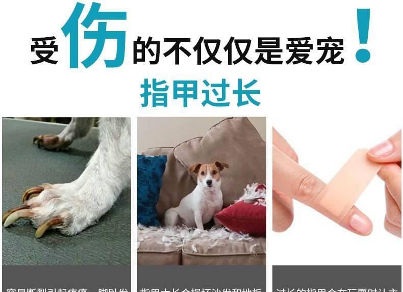 寵物美容指甲剪 狗狗修甲剪大號寵物剪犬貓通用 犬貓指甲鉗帶銼刀示例圖29