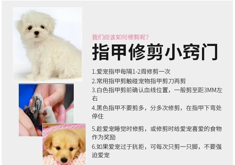 寵物美容指甲剪 狗狗修甲剪大號寵物剪犬貓通用 犬貓指甲鉗帶銼刀示例圖63