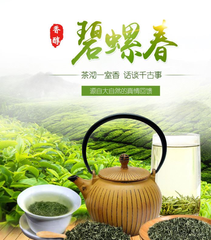 綠茶茶產(chǎn)區(qū)直發(fā)高端綠茶高山云霧英山云霧特級(jí)廬山云霧彎曲型批發(fā)示例圖1