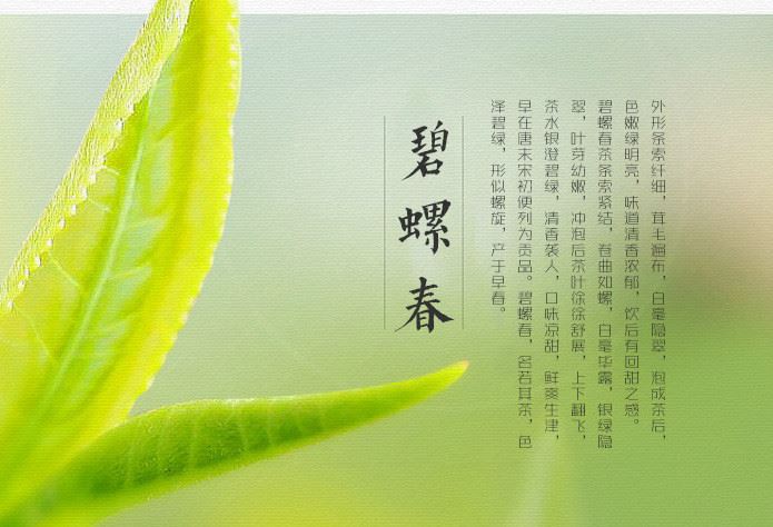 綠茶茶產(chǎn)區(qū)直發(fā)高端綠茶高山云霧英山云霧特級(jí)廬山云霧彎曲型批發(fā)示例圖5