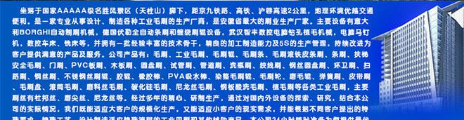 【厂家热销】各种规格风轮布轮 专用机械抛光布轮毛刷批发示例图10