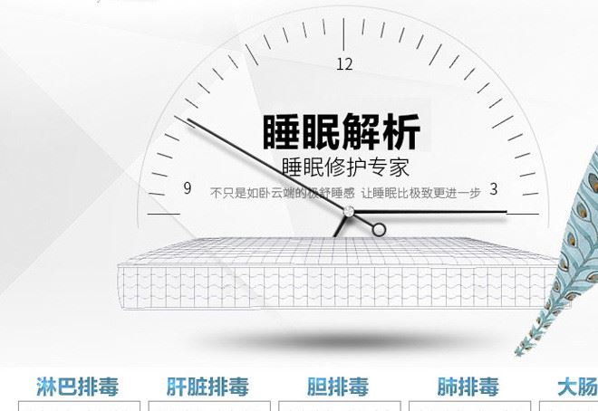 床墊 椰棕特價床墊 軟硬棕墊成人床墊1米1.2米1.5米單人雙人棕墊示例圖4