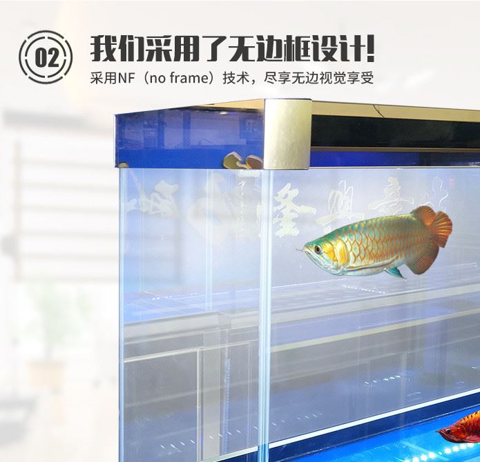 家庭大型魚缸 汽車級高清玻璃魚缸 超白玻璃水族中大型生態(tài)魚缸示例圖4