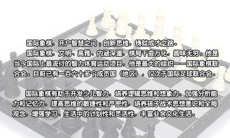 儿童国际象棋玩具益智启蒙棋类玩具批发塑料磁性便携大号象棋示例图8