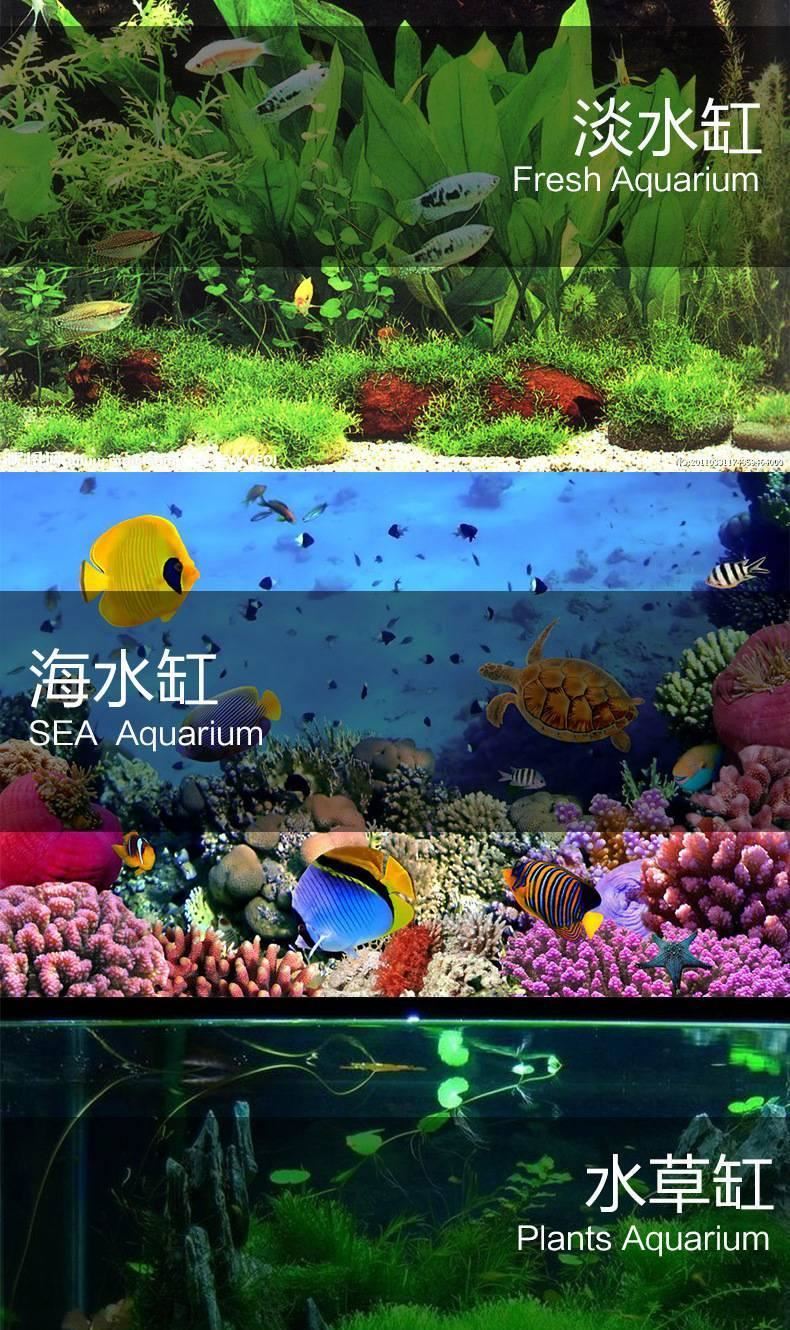 廠家批發(fā)水族電子溫度控制器 高低溫報警功能溫度器 缸外溫度表示例圖2