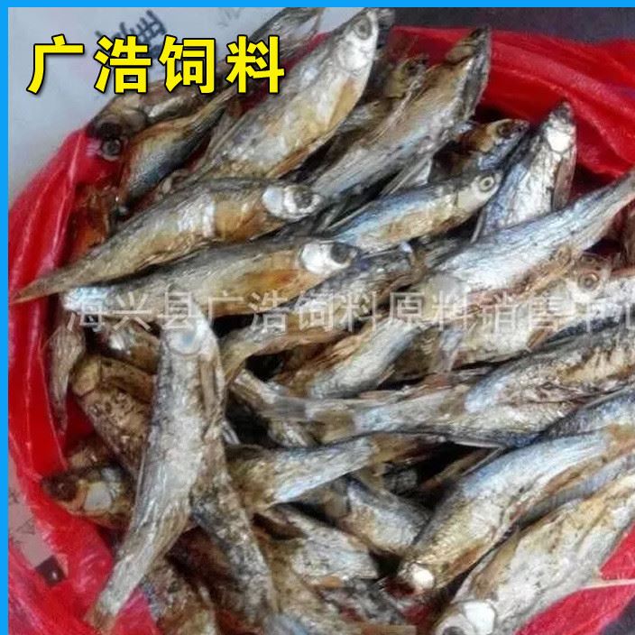 廠家直銷  飼料黃蟲糞 水產(chǎn)料得原料之一 歡迎采購示例圖2