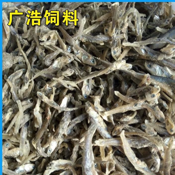 廠家直銷 飼料魚干  批發(fā)零售   烘干魷光魚   歡迎訂購示例圖1