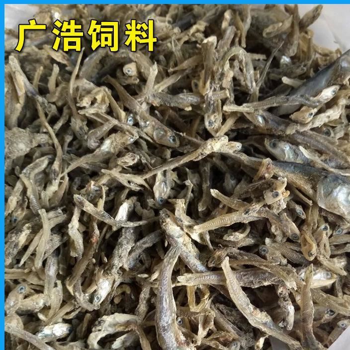 廠家直銷 飼料魚干  批發(fā)零售   烘干魷光魚   歡迎訂購示例圖2