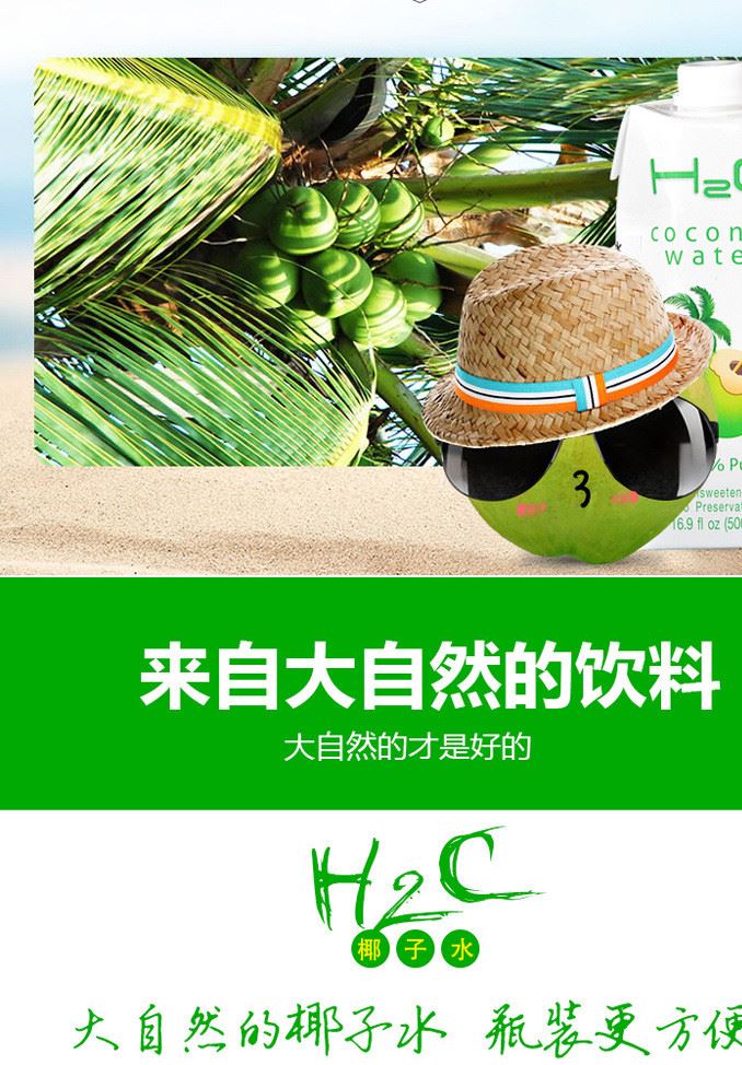 H2C 椰子水 果汁含量 椰青水 500ml示例圖3