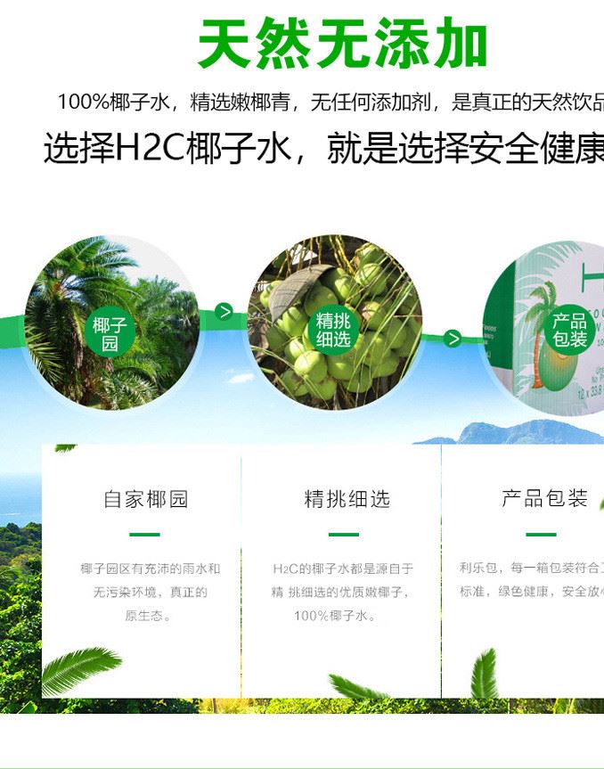 H2C 椰子水 果汁含量 椰青水 500ml示例圖5