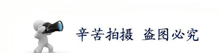 批量生产 超BIG 双刃桥式粗镗刀CLR150-210 精品大孔径桥式粗镗刀示例图3