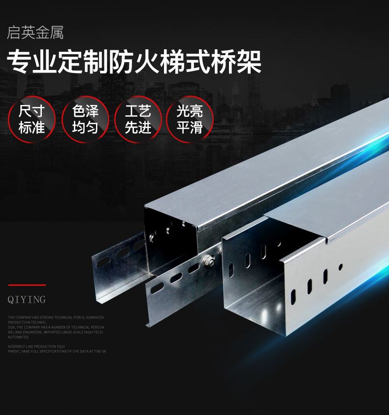 廠家直銷梯型鍍鋅橋架梯形T型電纜金屬橋架 噴塑不銹鋼熱浸鋅示例圖1